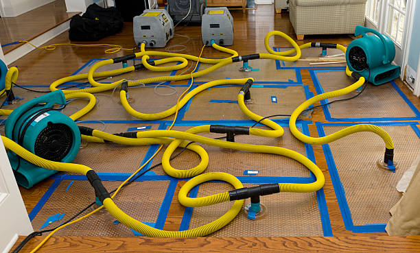 Professional Basement Flood Cleanup technician working in Waterville Valley, NH